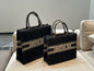 Dior Book Tote Tote Bag