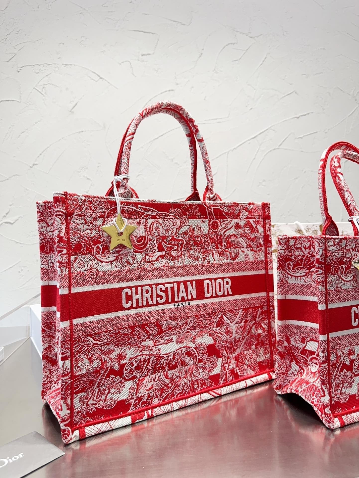Dior Book Tote Tote Bag