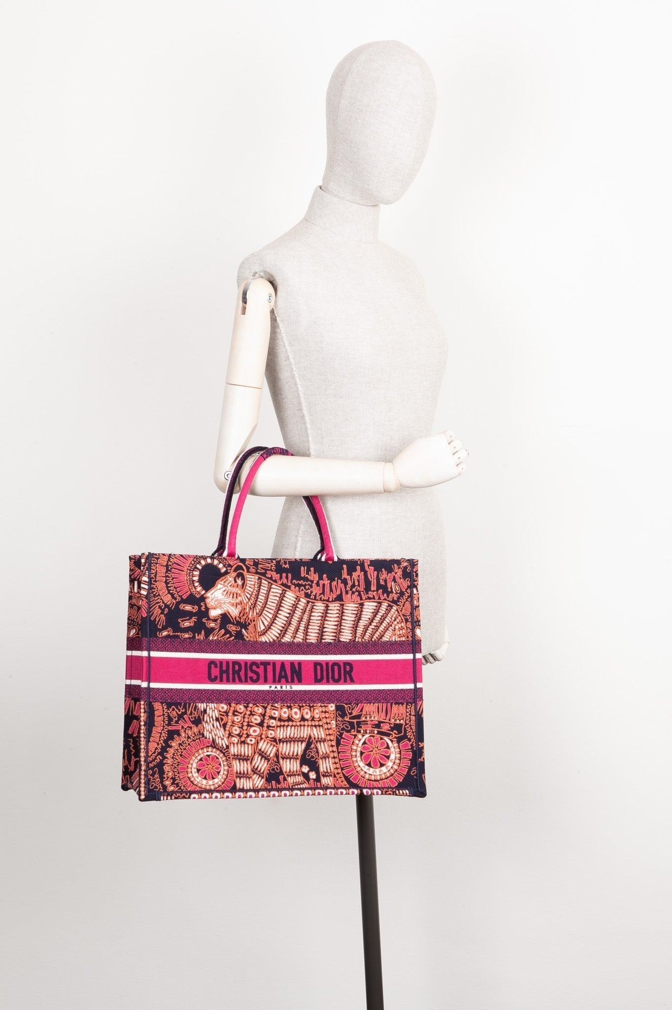 Dior Book Tote Canvas Tote Bag