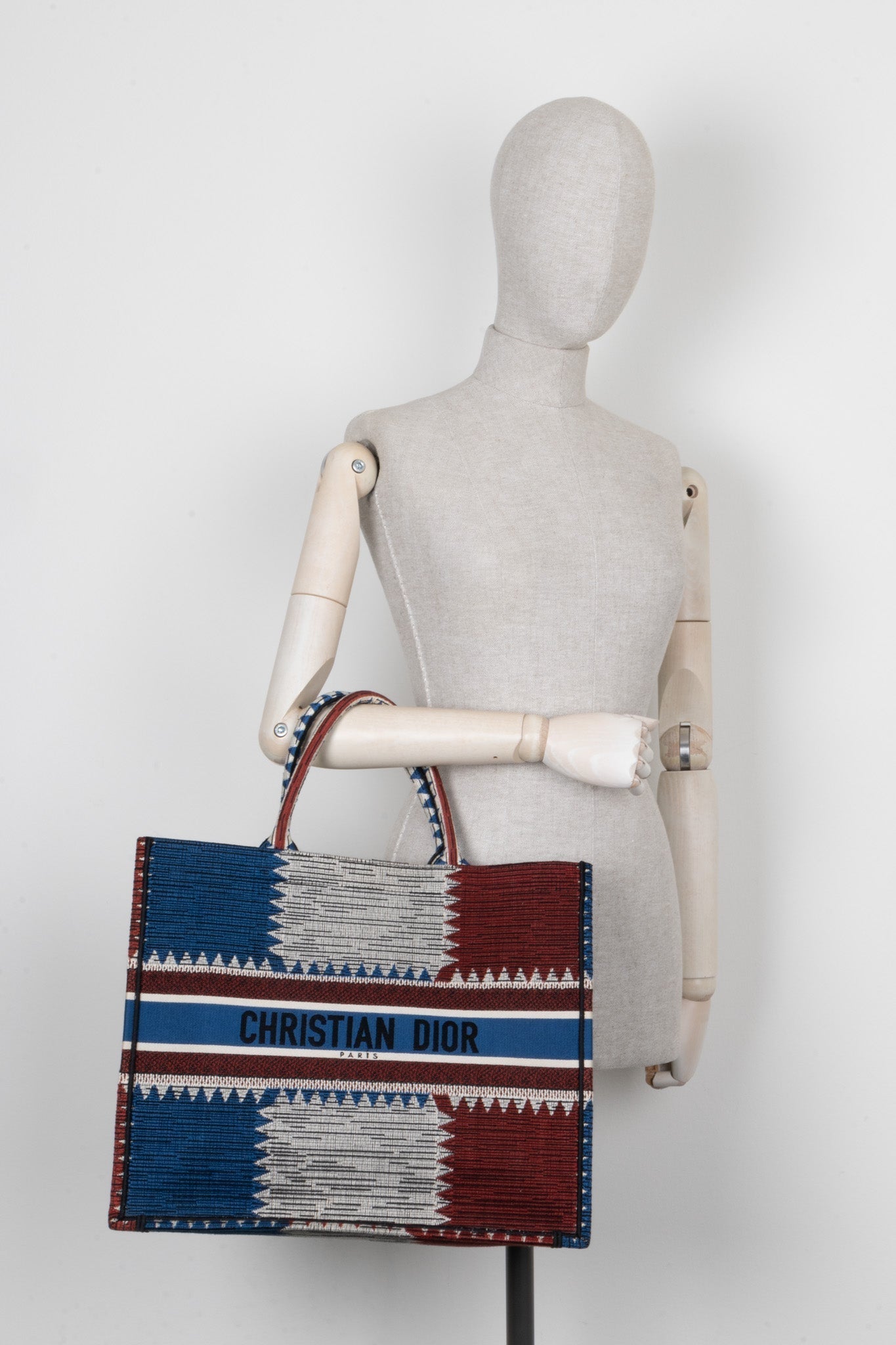 Christian Dior Book Tote Medium Tricolor