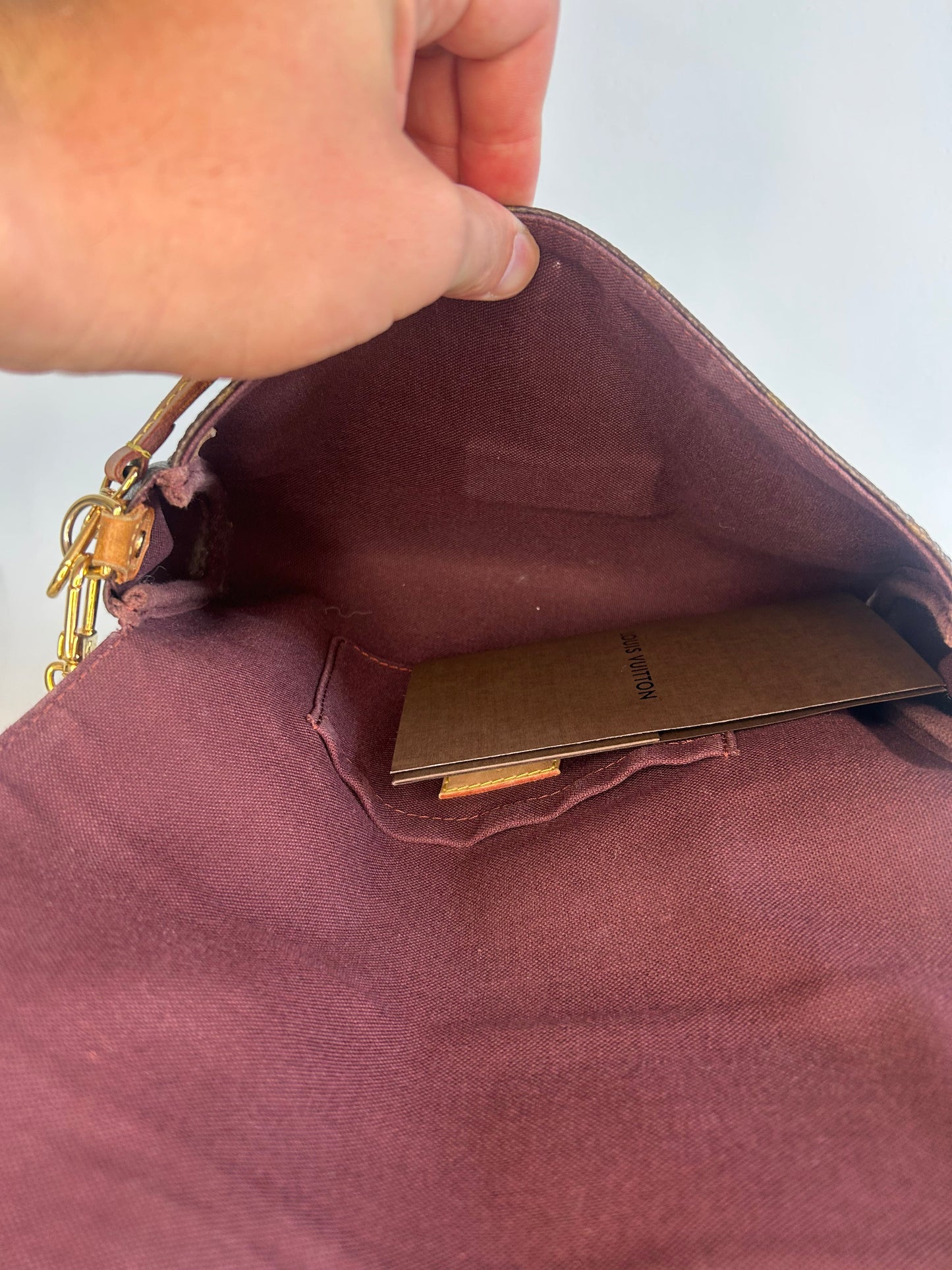 Louis Vuitton Monogram Favorite MM Crossbody Bag
