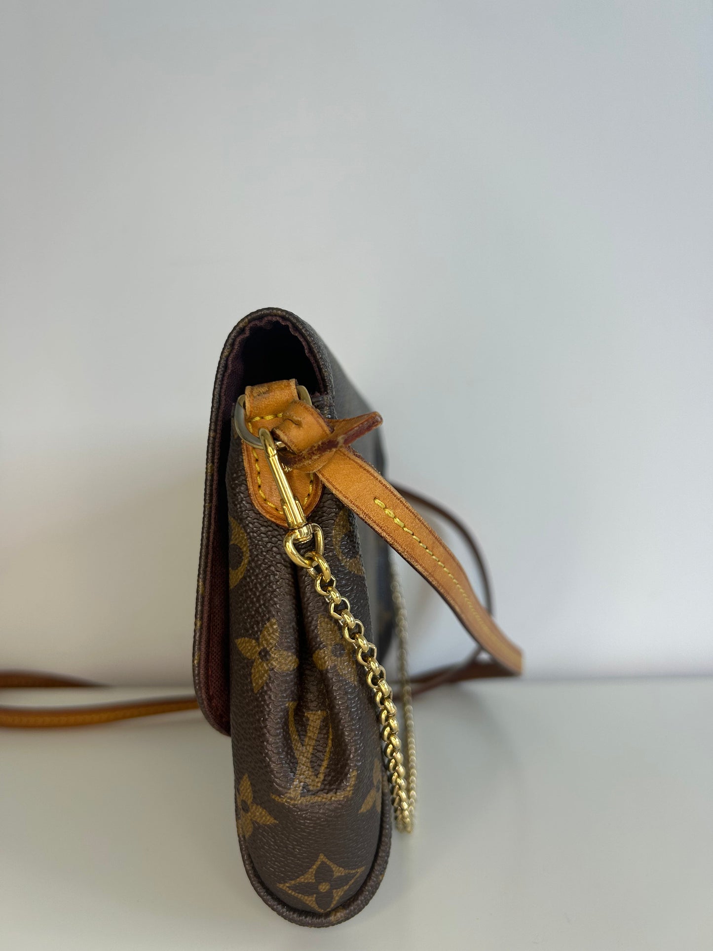 Louis Vuitton Monogram Favorite MM Crossbody Bag