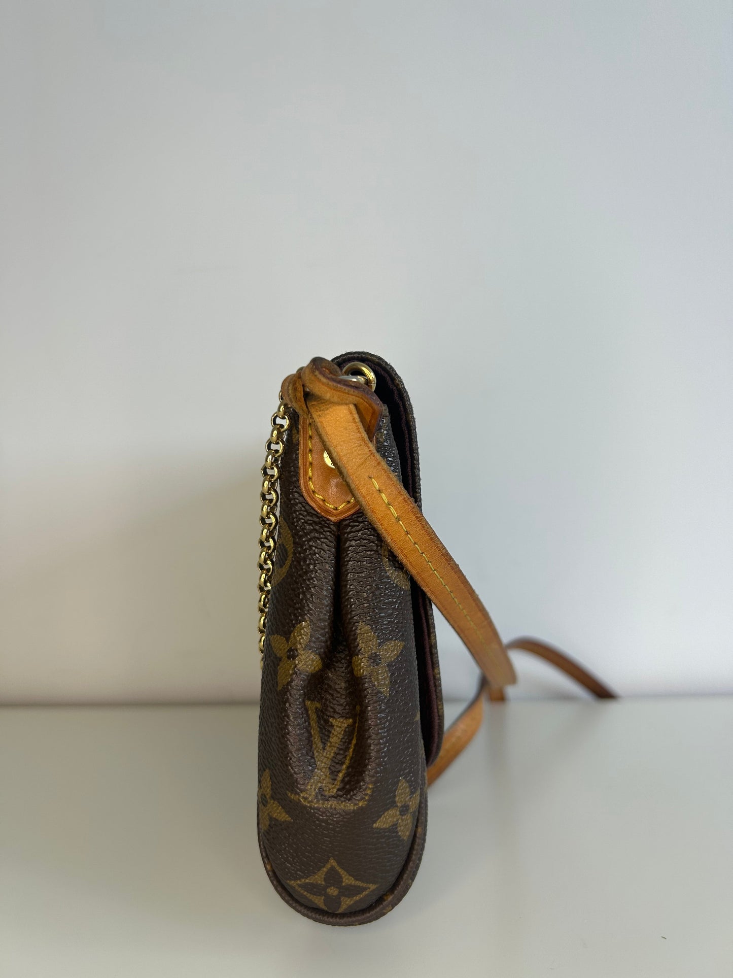 Louis Vuitton Monogram Favorite MM Crossbody Bag