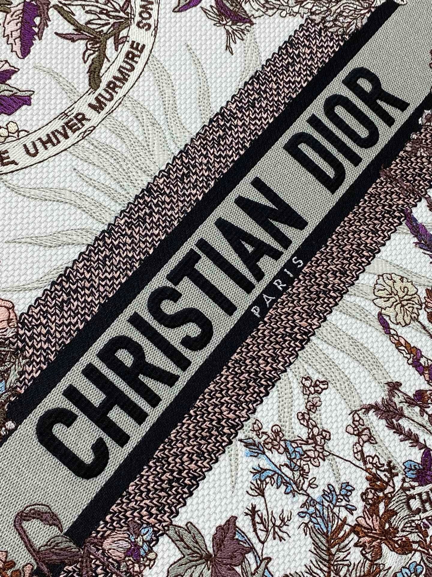 Dior Book Tote Tote Bag