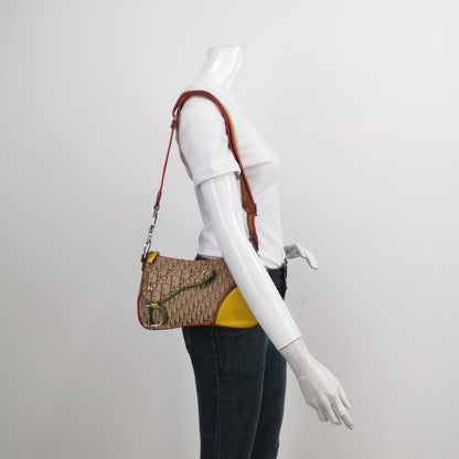 Dior Rasta Trotter Double Saddle Shoulder Bag