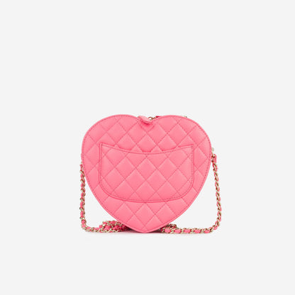 Chanel Luxury Lambskin Gold Handbag Style 11