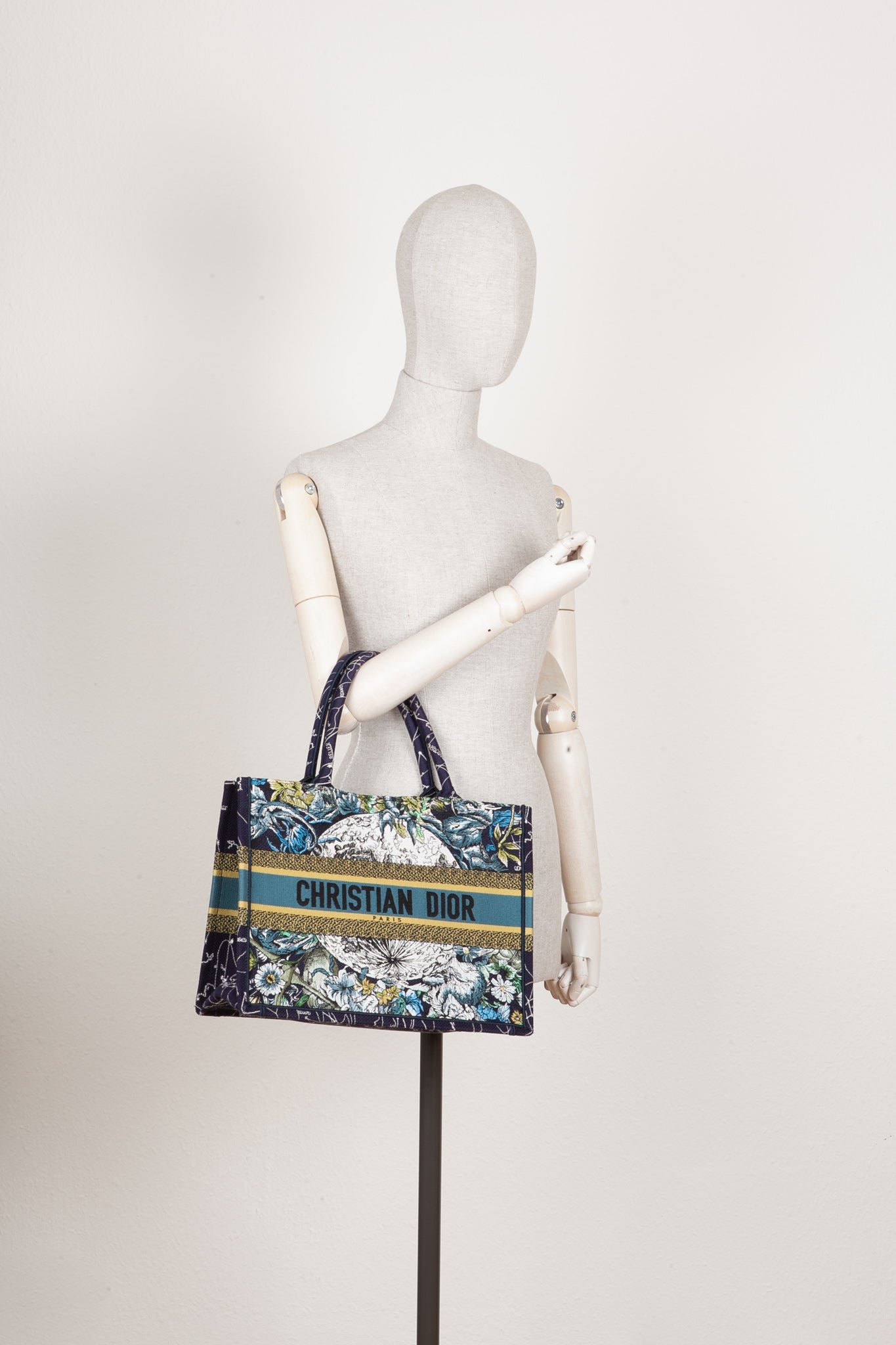 Dior Book Tote Canvas Tote Bag