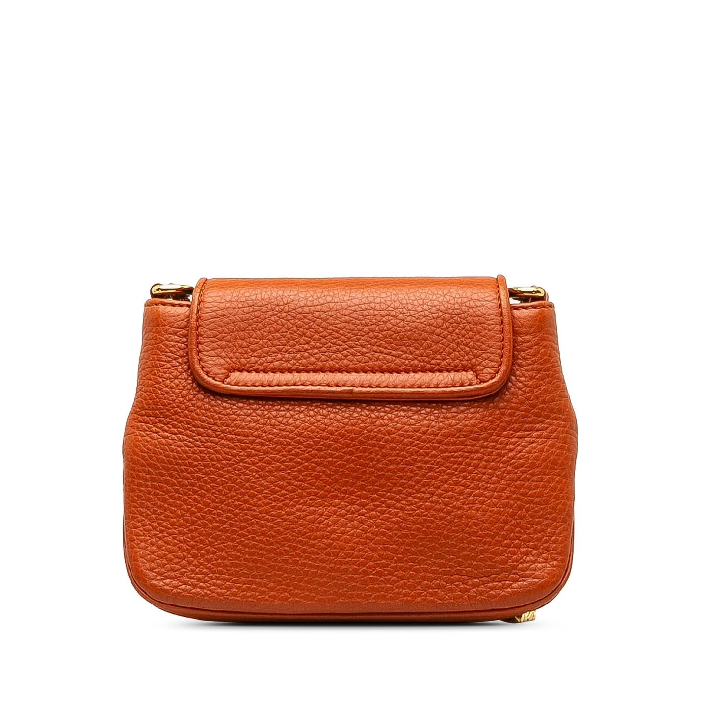 Small 1973 Leather Chain Crossbody