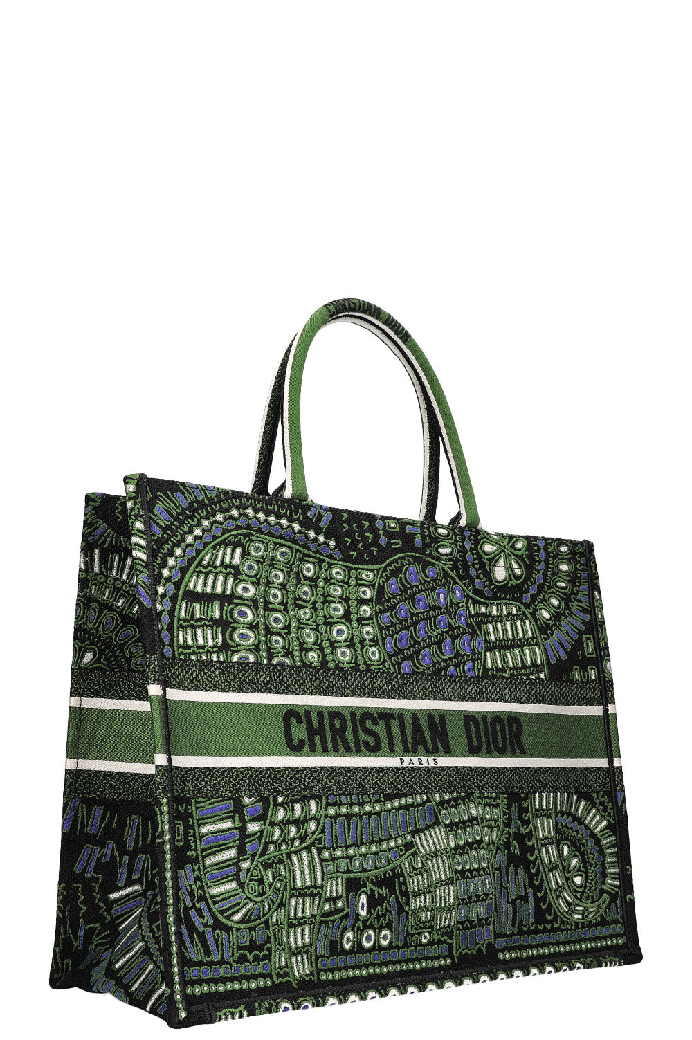 Dior Book Tote Mini Canvas Tote Bag