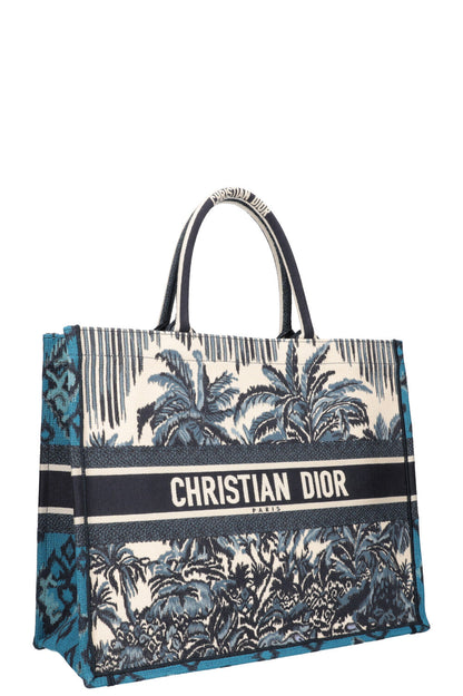 Dior Book Tote Canvas Tote Bag