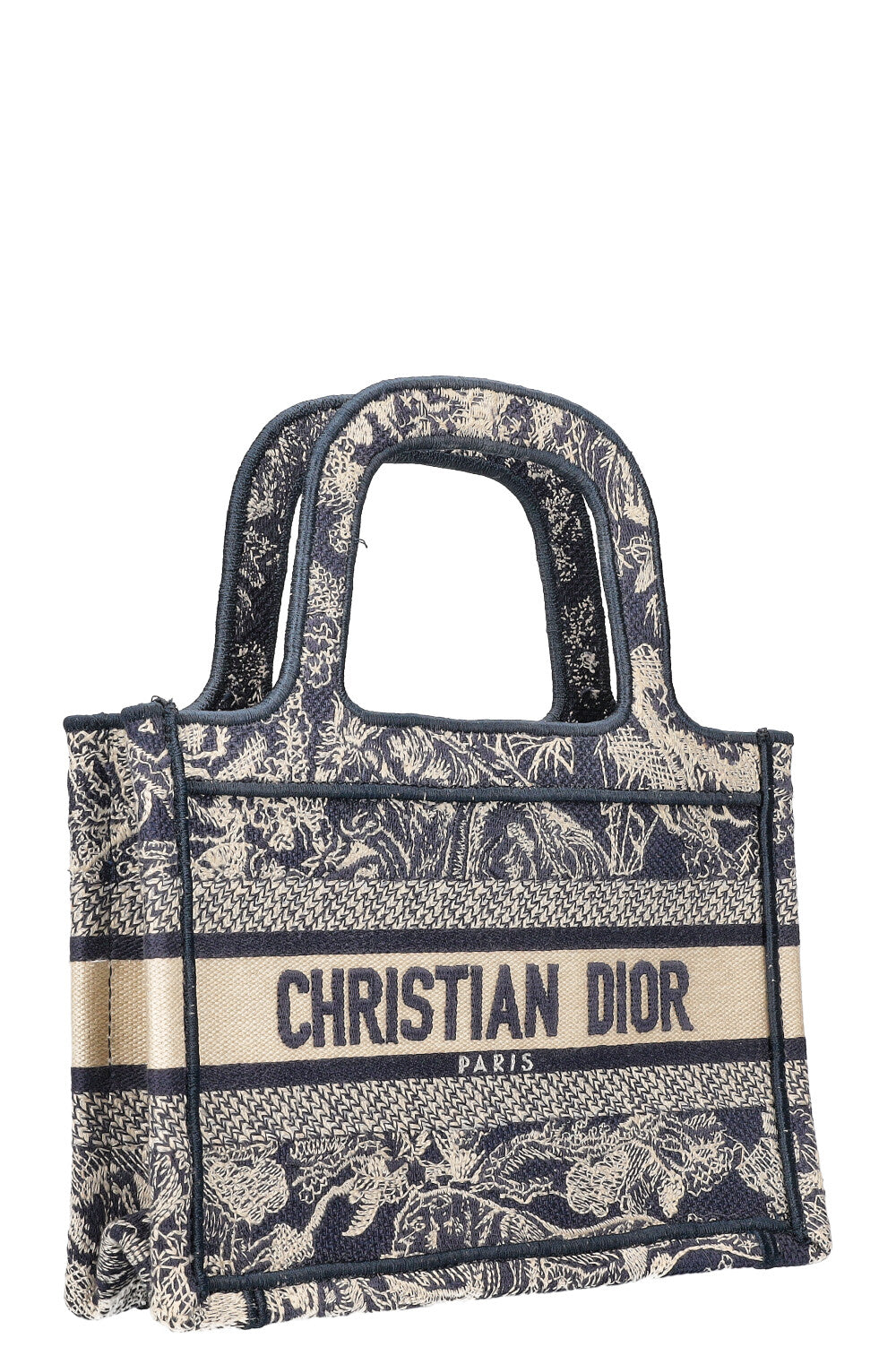 Dior Book Tote Mini Canvas Tote Bag