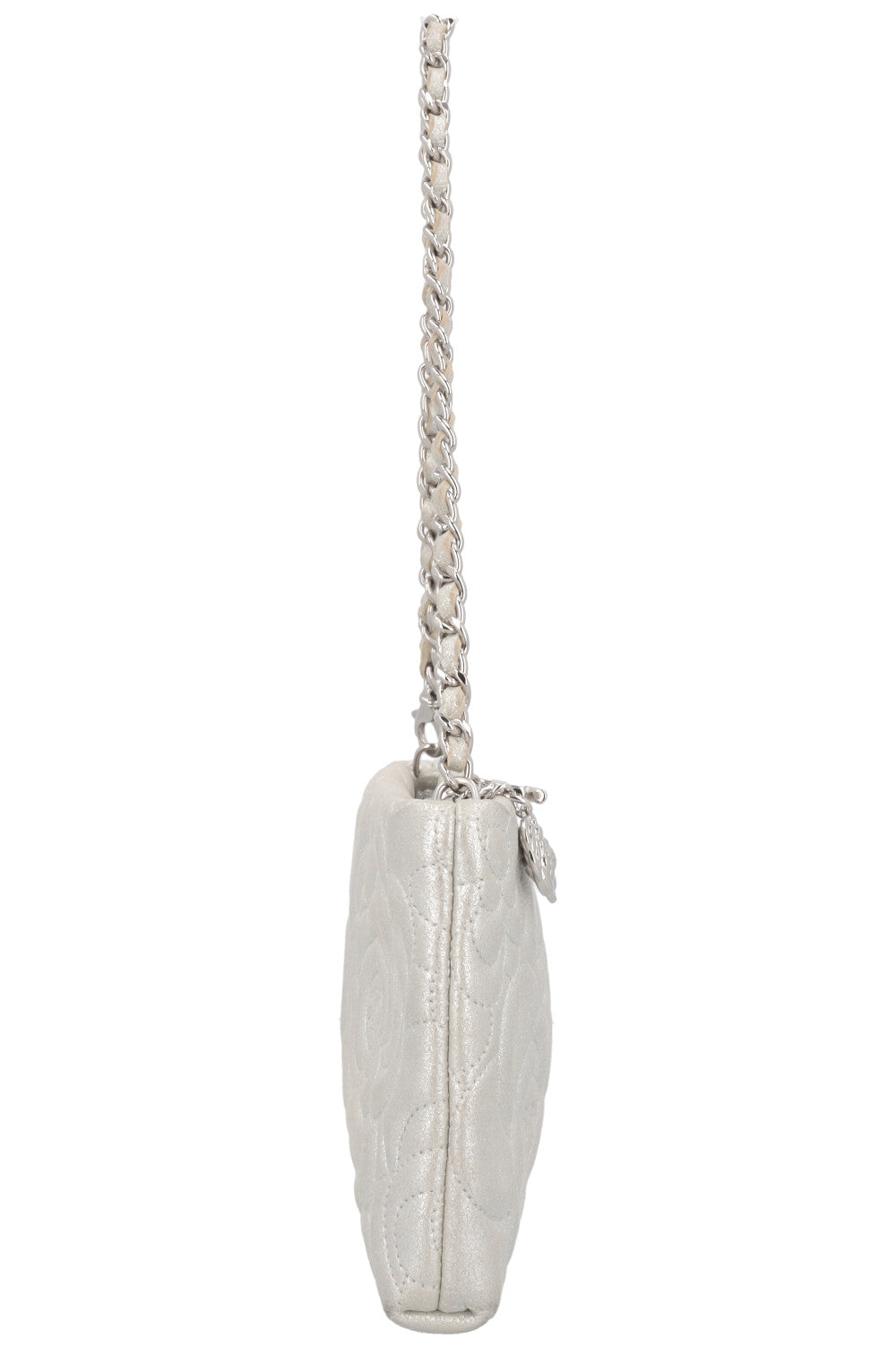 Chanel Silver Luxury Handbag