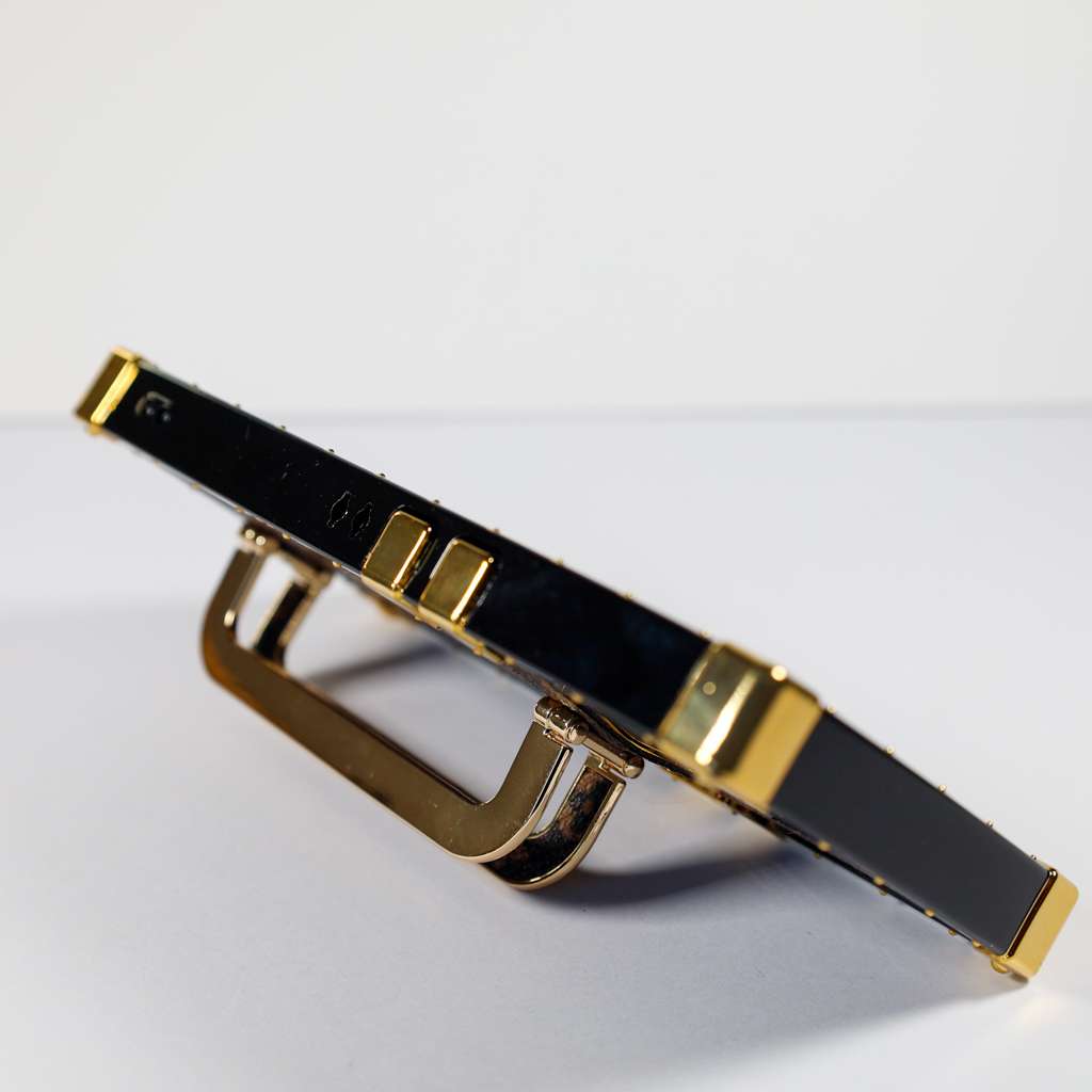 Louis Vuitton Trunk iPhone Case for 1116 Pro Max Plus Series