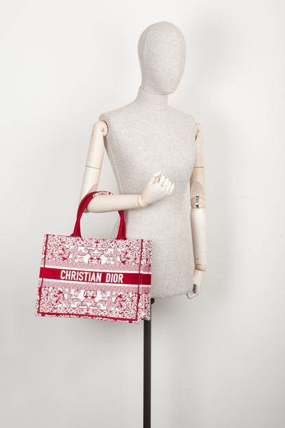 Dior Book Tote Mini Canvas Tote Bag