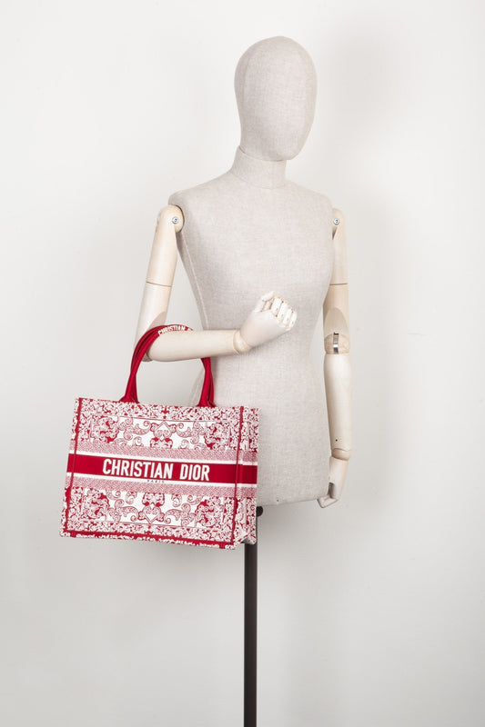 Dior Book Tote Mini Canvas Tote Bag
