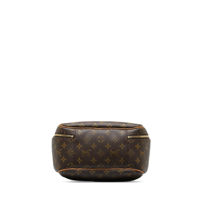Brown Louis Vuitton Monogram Excursion HandBag