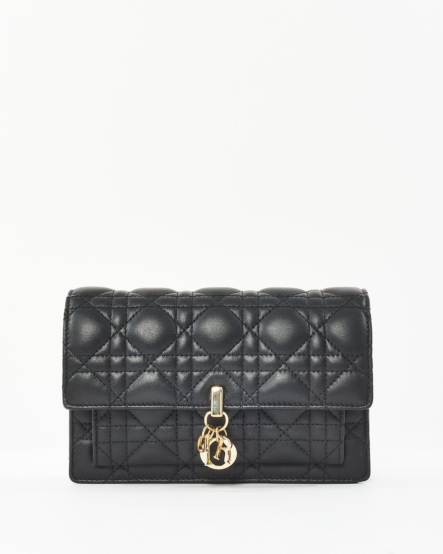Dior Chain Leather Crossbody Bag