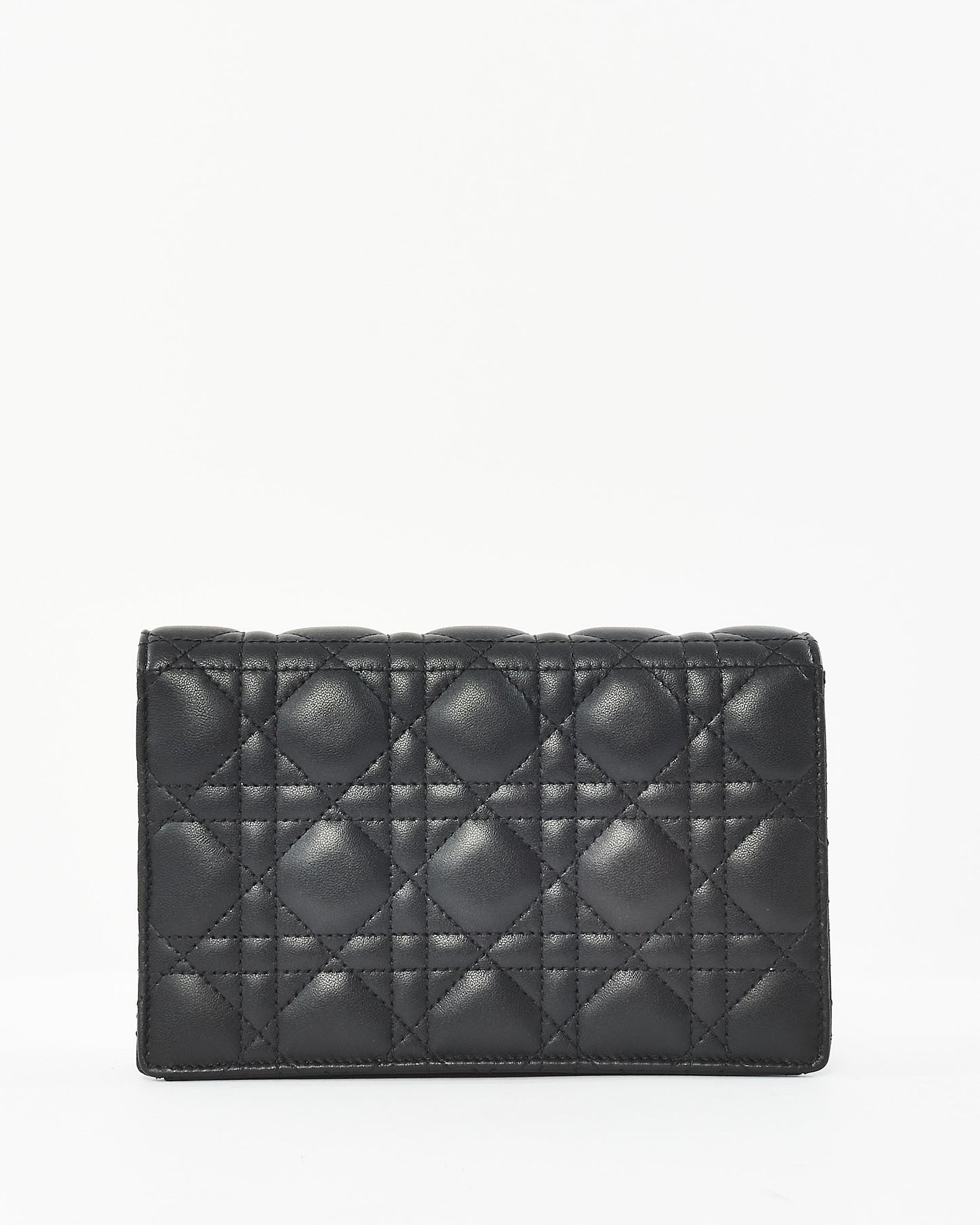 Dior Chain Leather Crossbody Bag