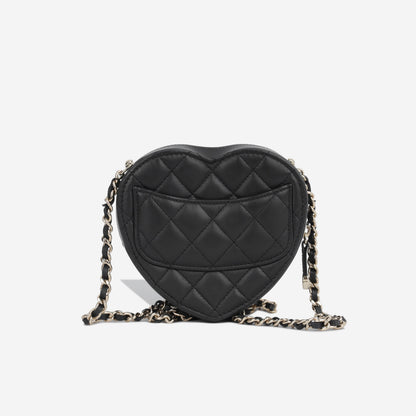 Chanel Luxury Lambskin Black Handbag Style 14