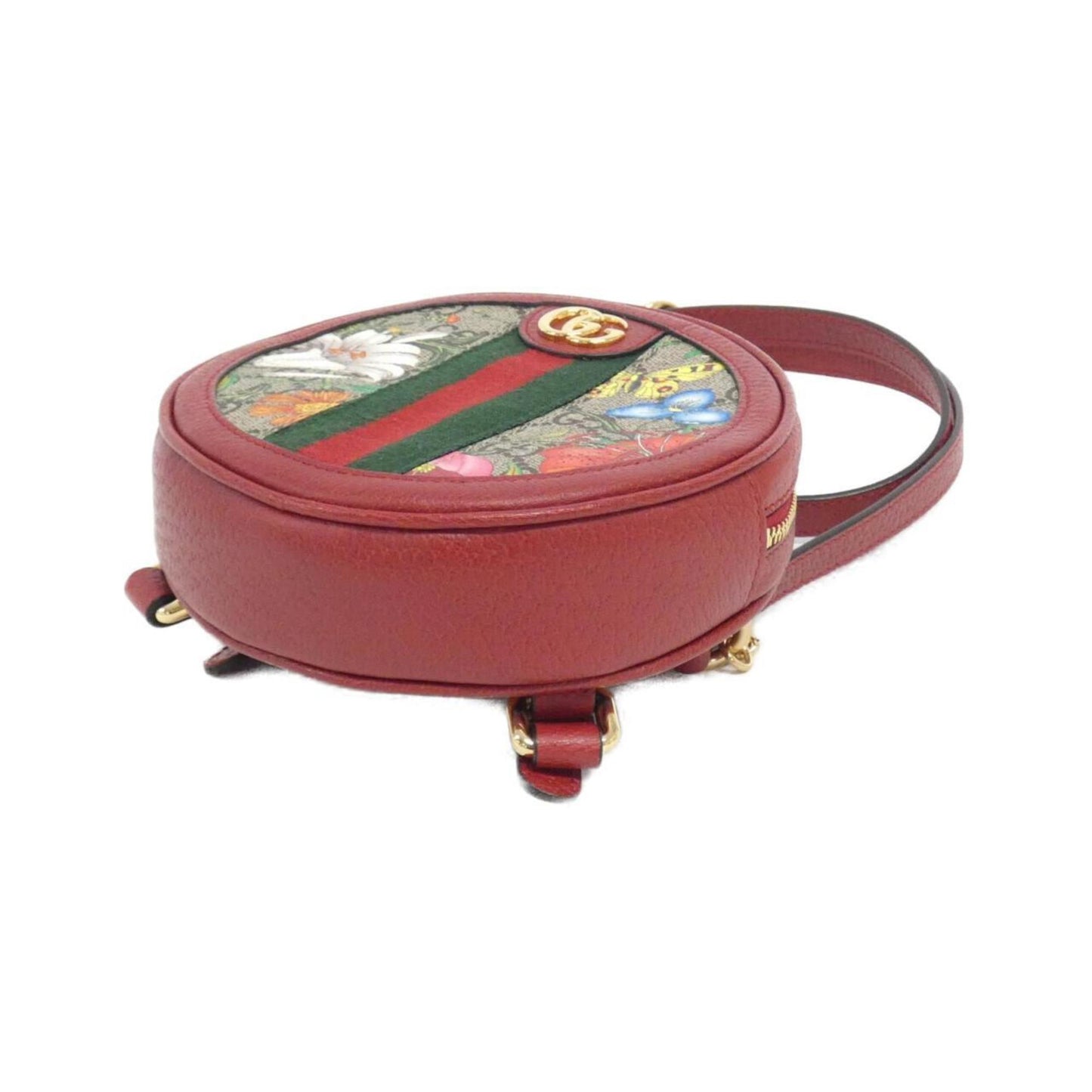 Ophidia Canvas Crossbody Bag