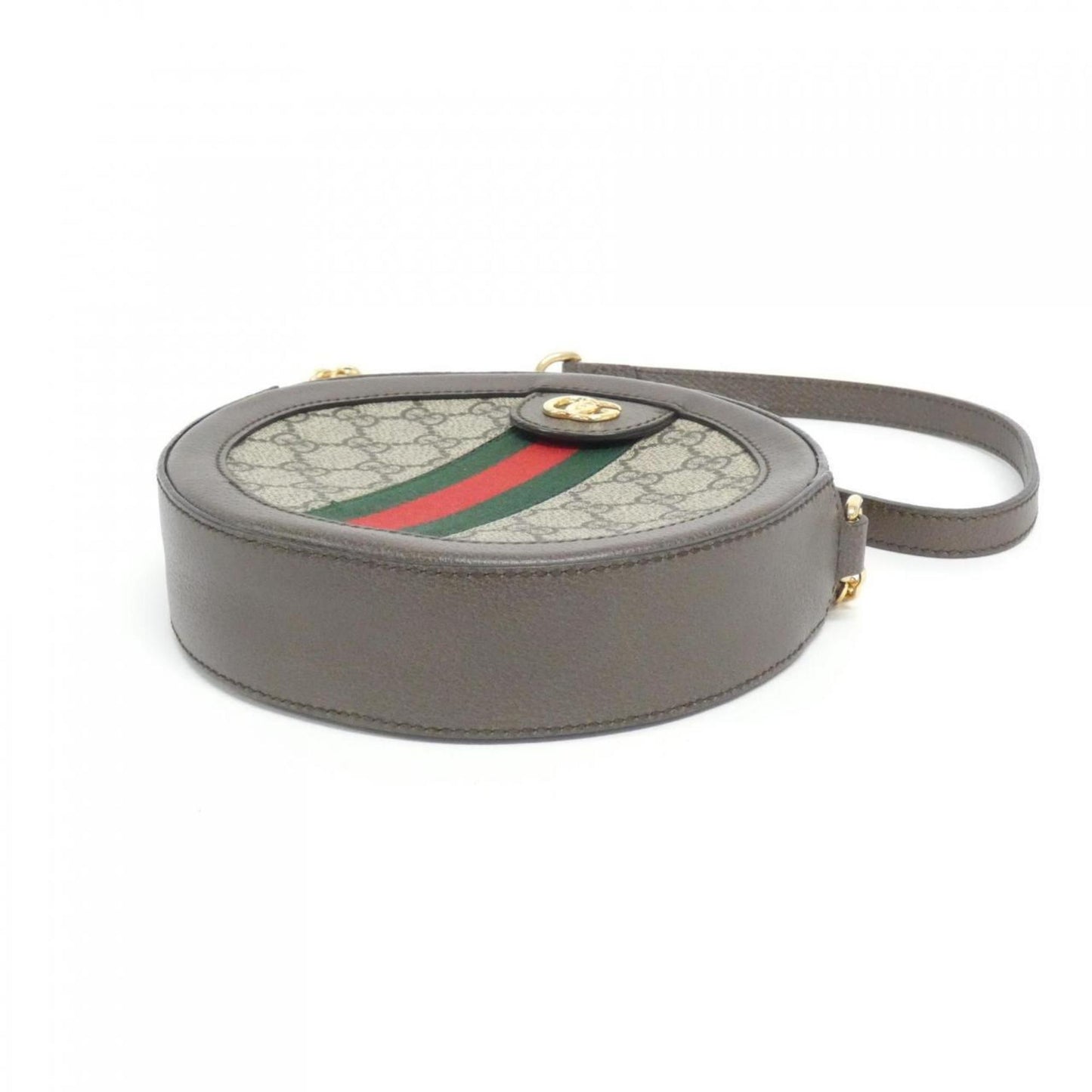 Ophidia Canvas Crossbody Bag