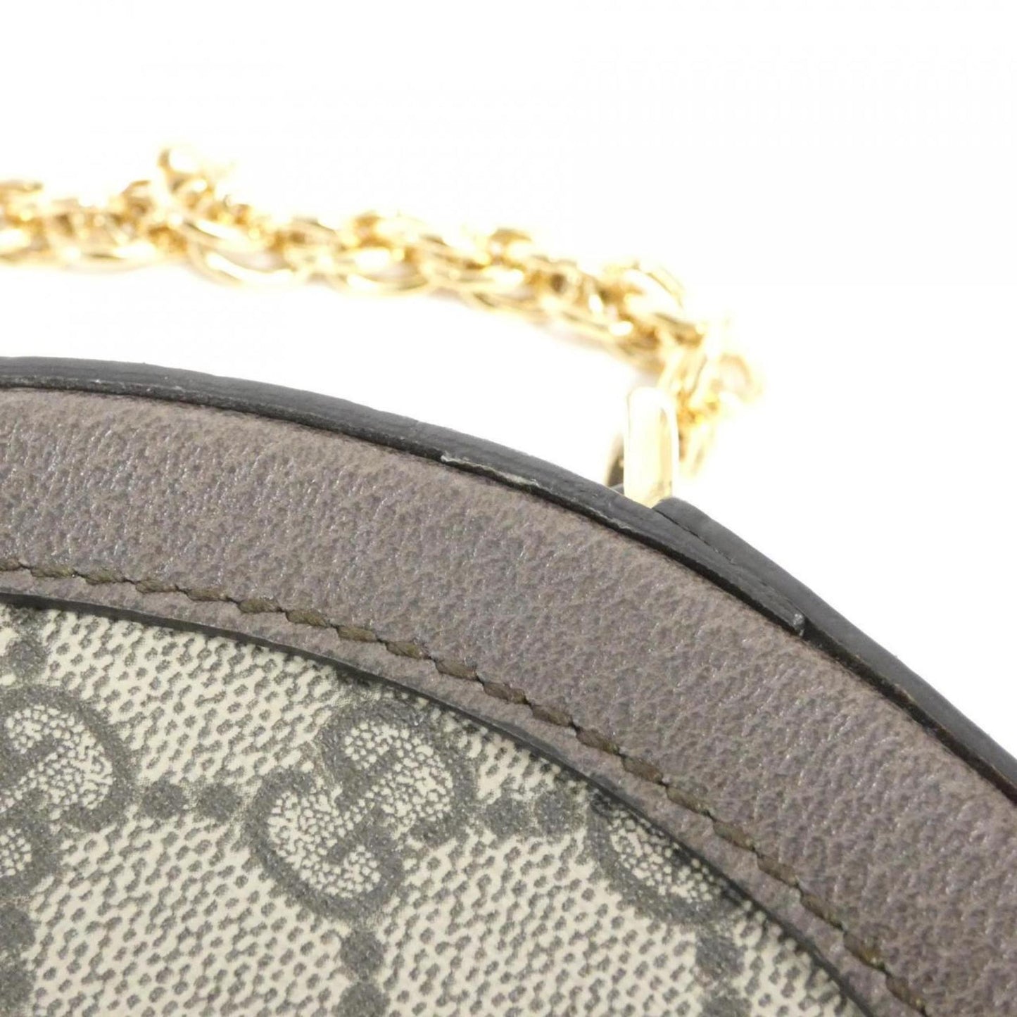 Ophidia Canvas Crossbody Bag