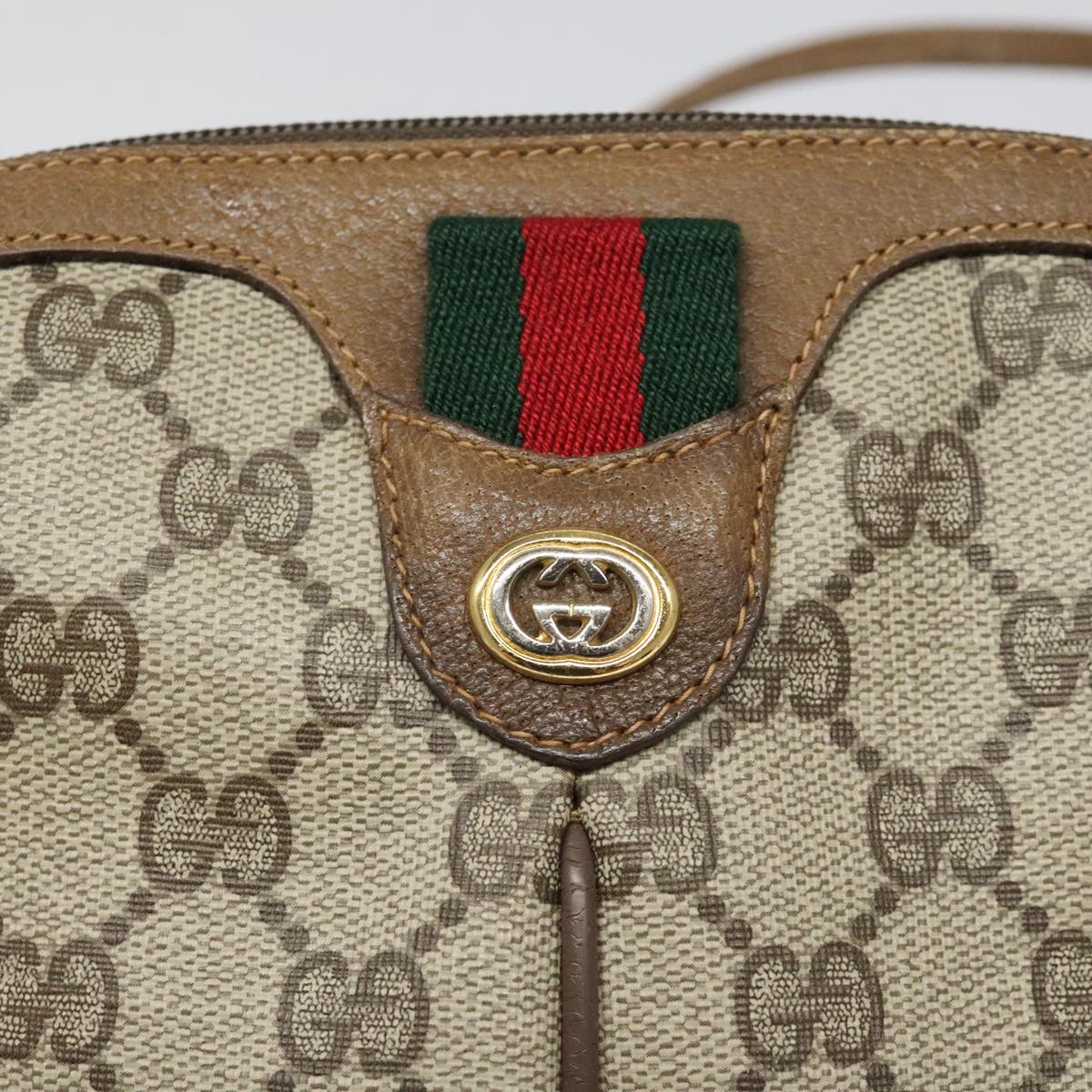 Ophidia Canvas Crossbody Bag