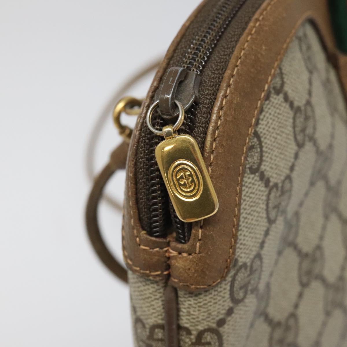 Ophidia Canvas Crossbody Bag