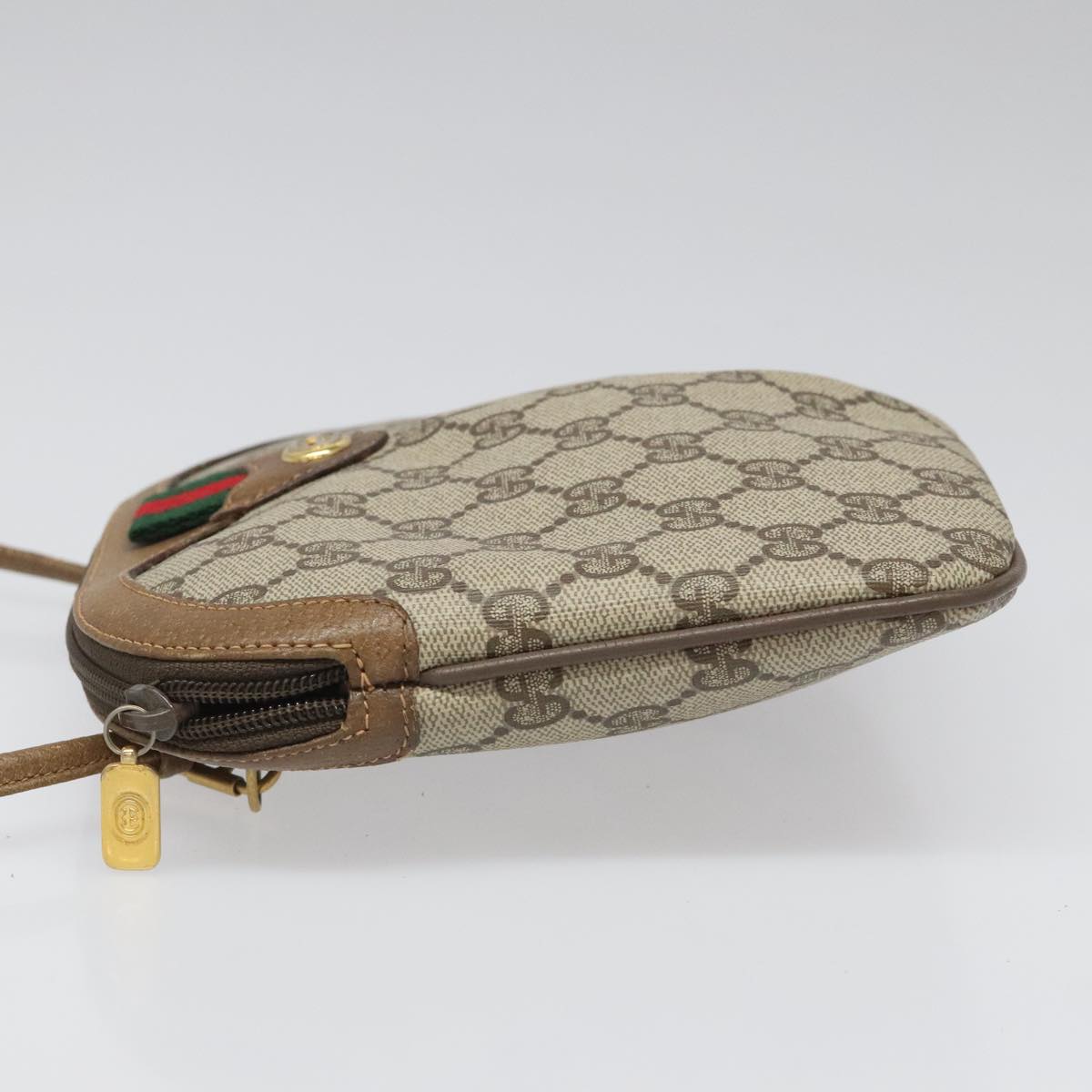 Ophidia Canvas Crossbody Bag