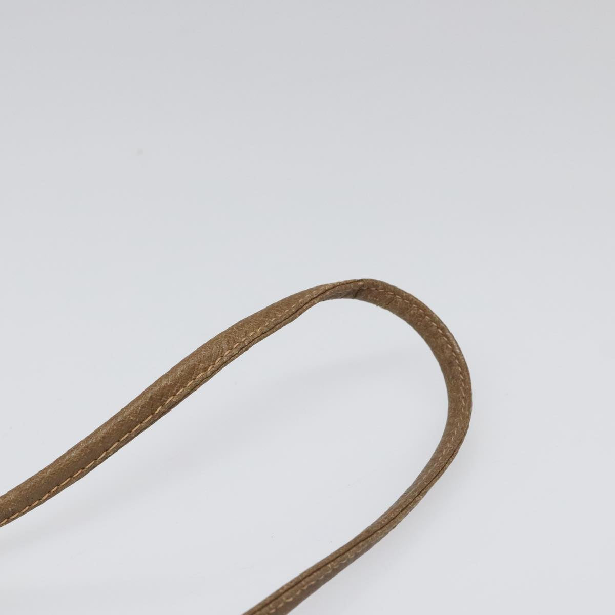 Ophidia Canvas Crossbody Bag