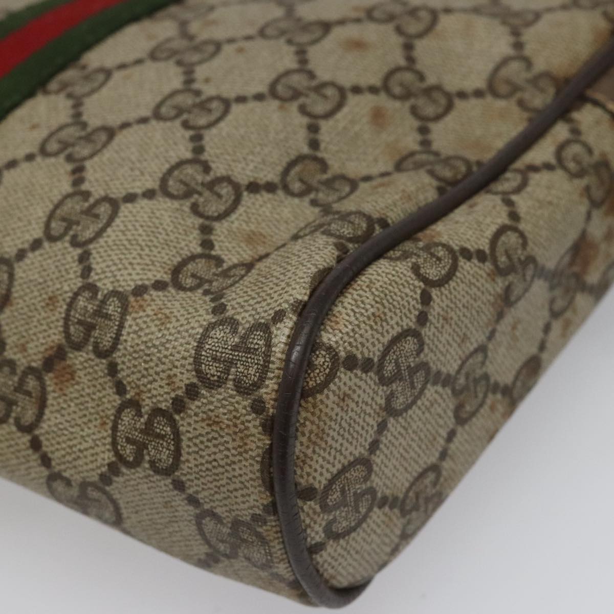 Ophidia Canvas Crossbody Bag