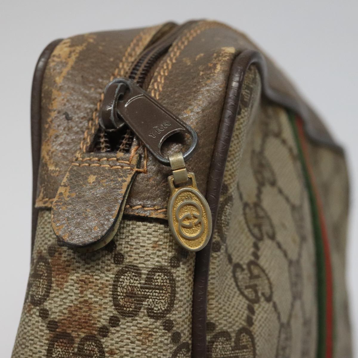 Ophidia Canvas Crossbody Bag