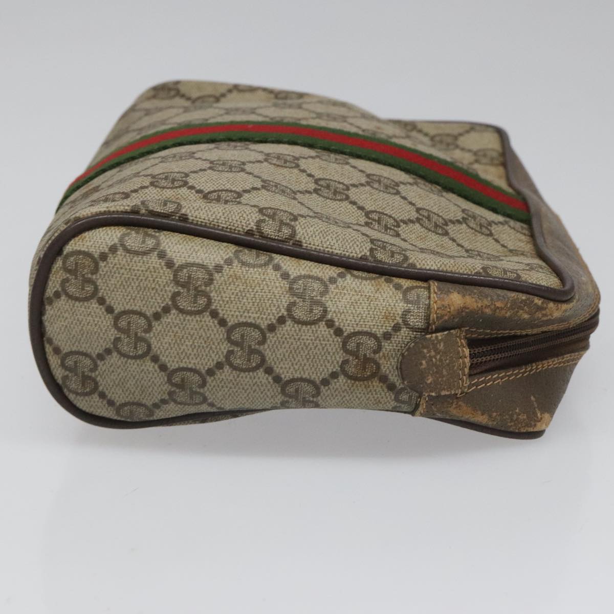 Ophidia Canvas Crossbody Bag