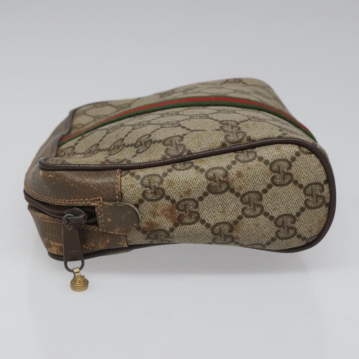 Ophidia Canvas Crossbody Bag