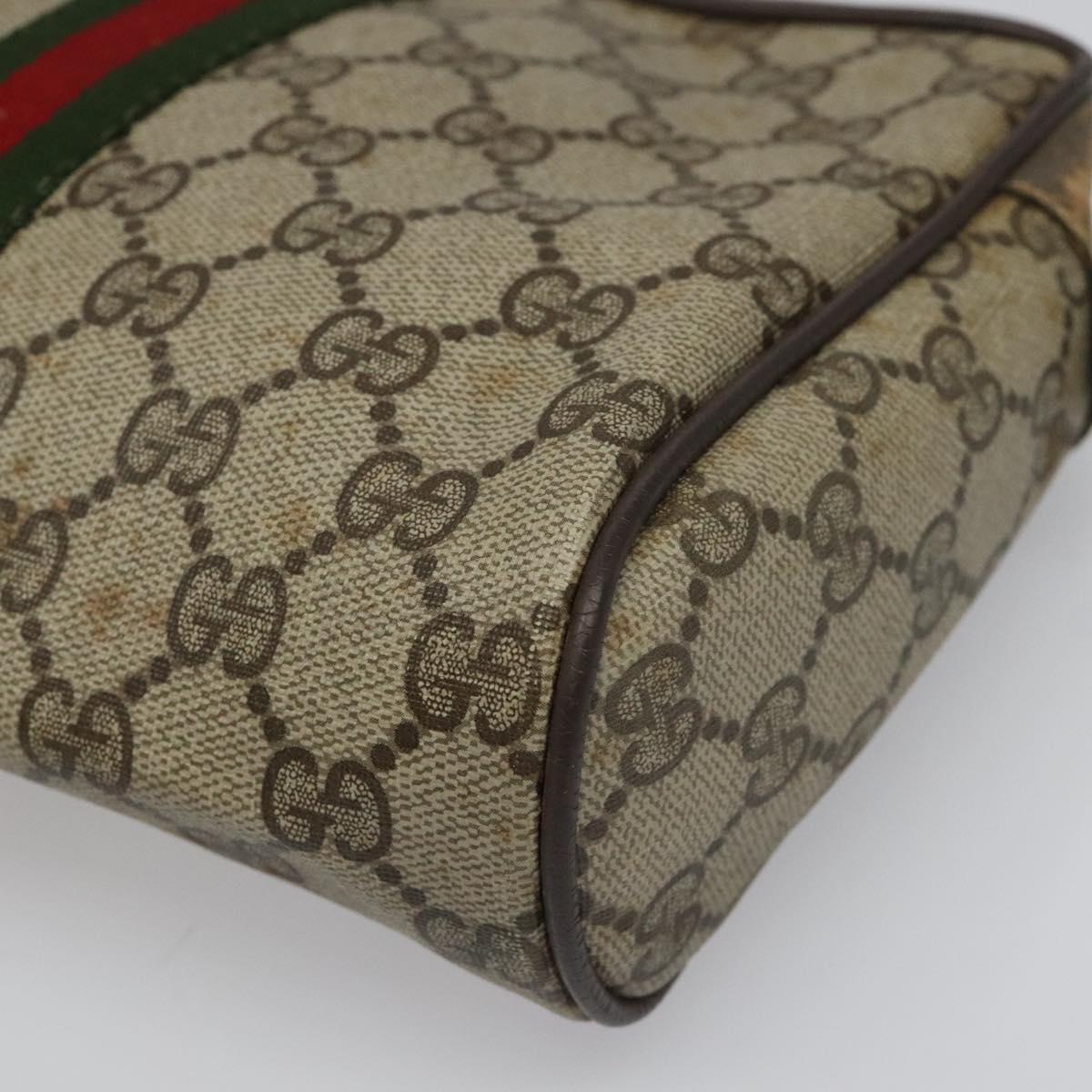 Ophidia Canvas Crossbody Bag