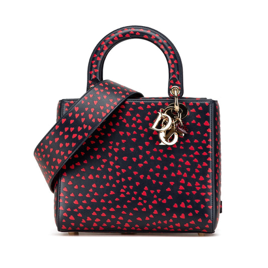 Dior Lady Dior Leather Handbag