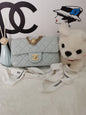 Chanel Luxury Handbag Style 110