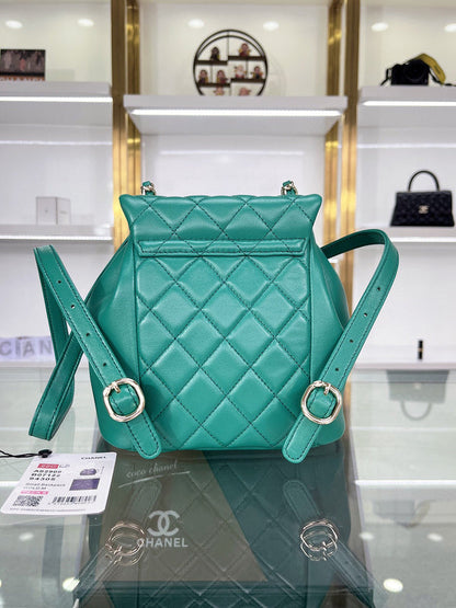 Chanel Luxury Handbag Style 257