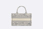 Dior Book Tote Leather Mini Tote Bag