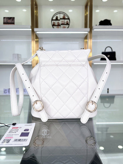 Chanel Luxury Handbag Style 166
