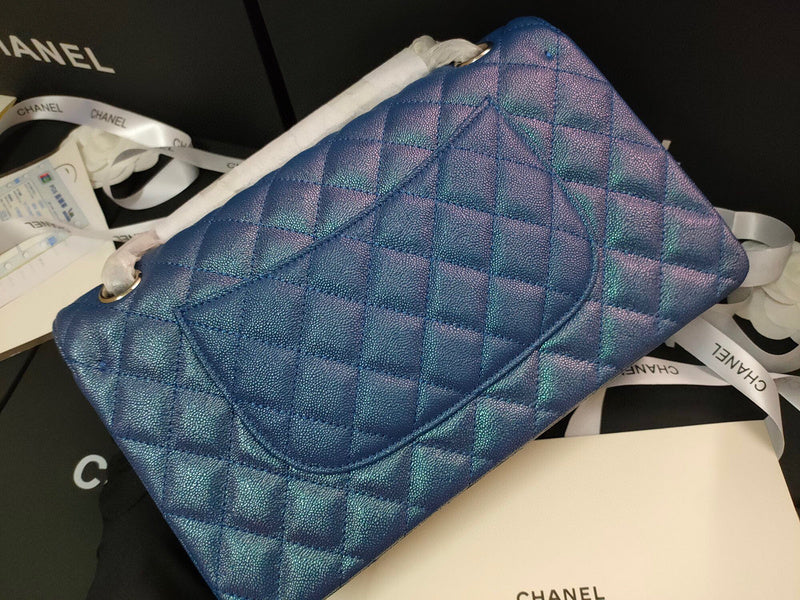 Chanel Luxury Handbag Style 213