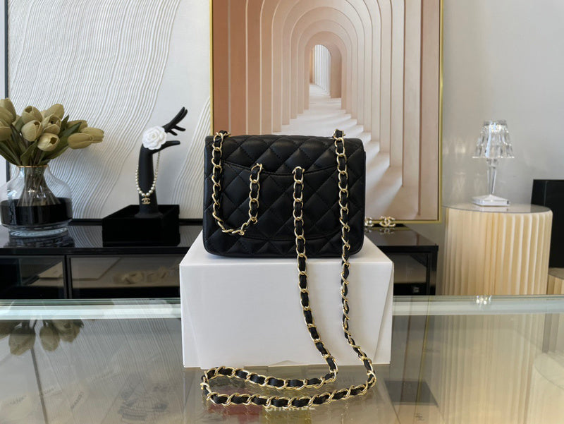 Chanel Luxury Handbag Style 451