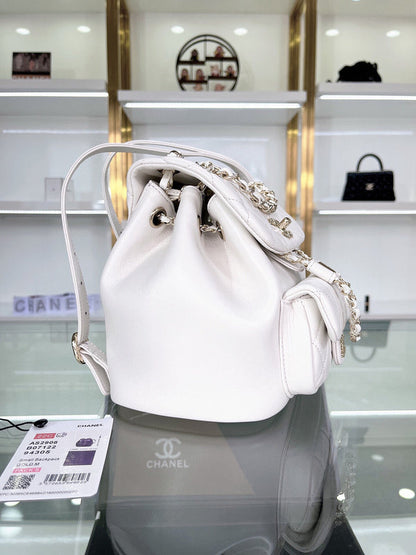 Chanel Luxury Handbag Style 166