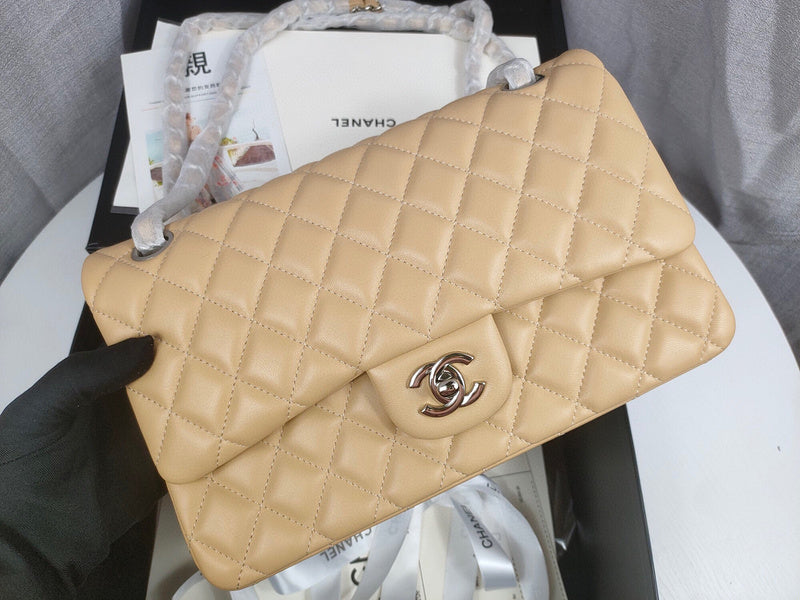 Chanel Luxury Handbag Style 227