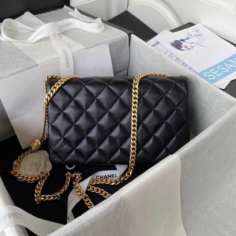 Chanel Luxury Handbag Style 114
