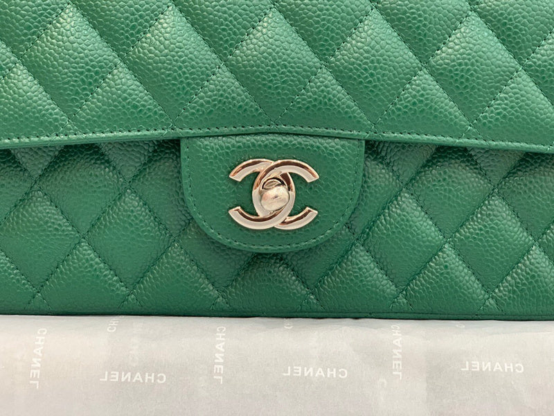 Chanel Luxury Handbag Style 206