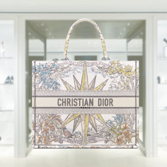 Dior Book Tote Tote Bag