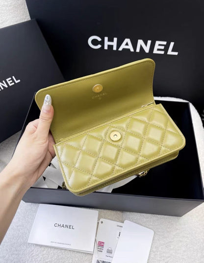Chanel Luxury Leather Gold Handbag Style 14