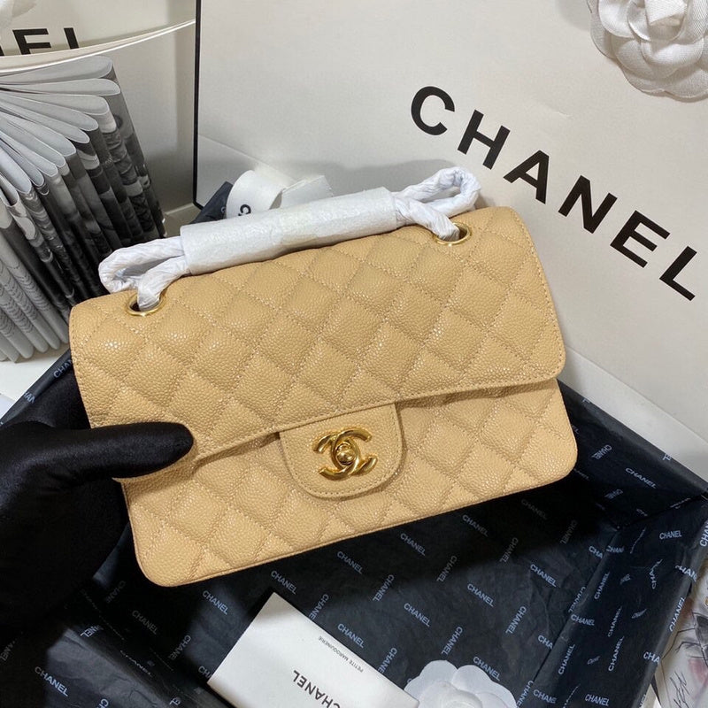 Chanel Luxury Handbag Style 169