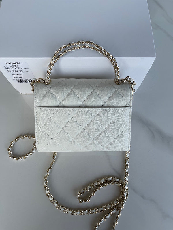 Chanel Luxury Handbag Style 113